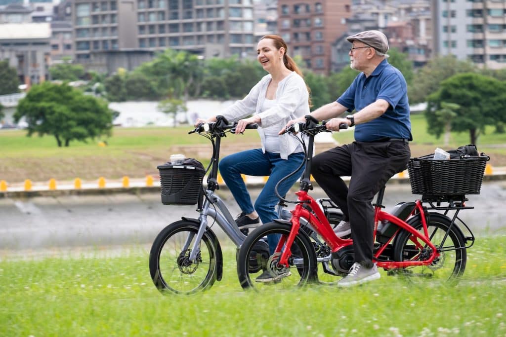 Tern-NBD_s5i-dumoulin-bicyclettes-