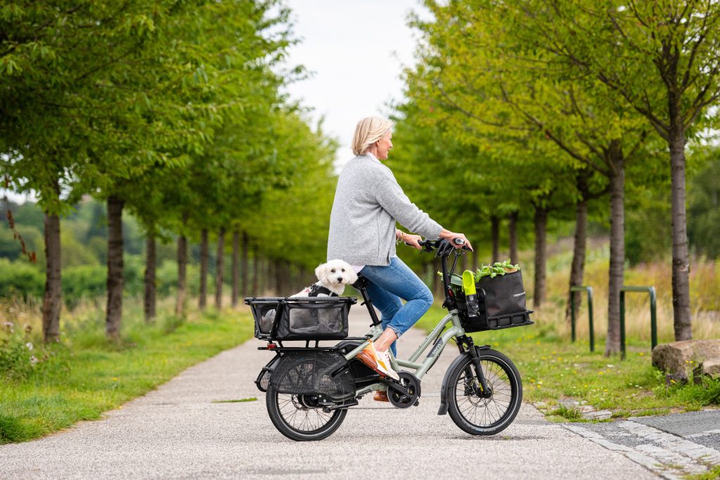 Promenades en vélo avec votre chien